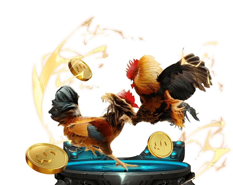 Cá cược có trách nhiệm x888